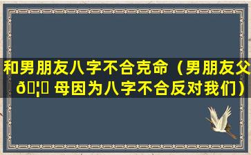 和男朋友八字不合克命（男朋友父 🦄 母因为八字不合反对我们）